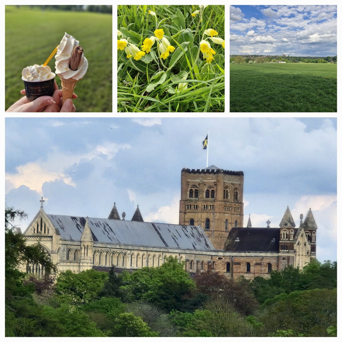 #parklife Enjoying an afternoon walk in the sun, lovely to see the cowslips  #stalbans #nhs1000miles