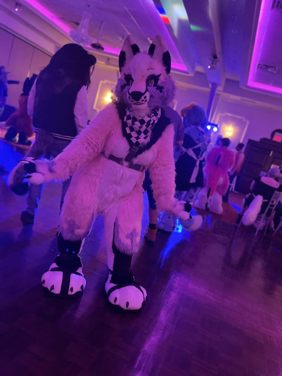 I had such a great time at @RoyalCityFurs tonight 🥰💜🫶 I really missed this style furmeet! And the brain worms finally won and I danced in my fullsuit 🤩 oh boy that was difficult and exhausting but so fun! ✨