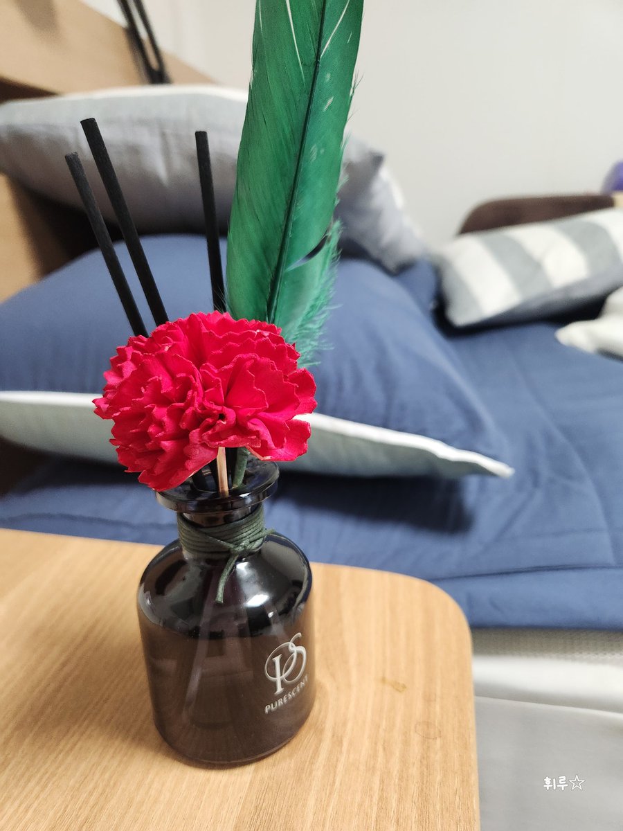 울애기가 준 선물

이거 챙기느라 지하철에다 가방놓고내려 속썩이게 만든 아이 ㅋㅋ

카드준다니깐 안받아서 비상금 탈탈 털어줬네 

근데 왜 카네이션 ? ㅋㅋ 어버이날선물 받은 느낌 ㅋ