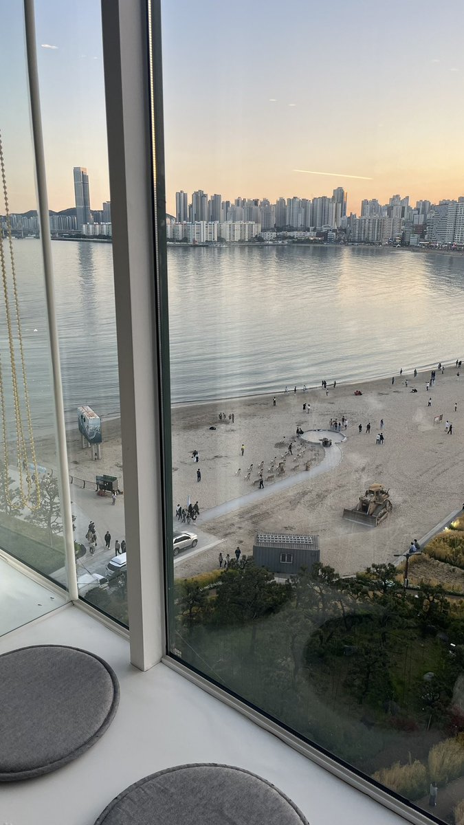 w o n y o h tweet media