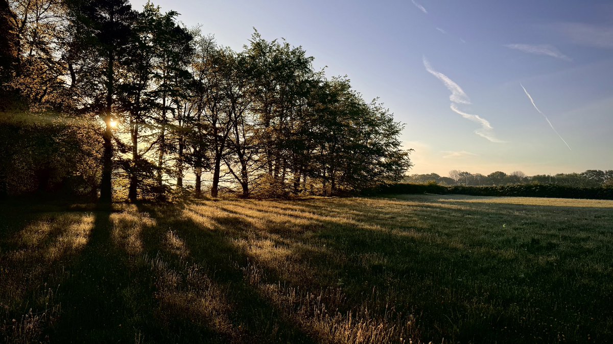 06:00am morning walk… Has to be the best time of the day.