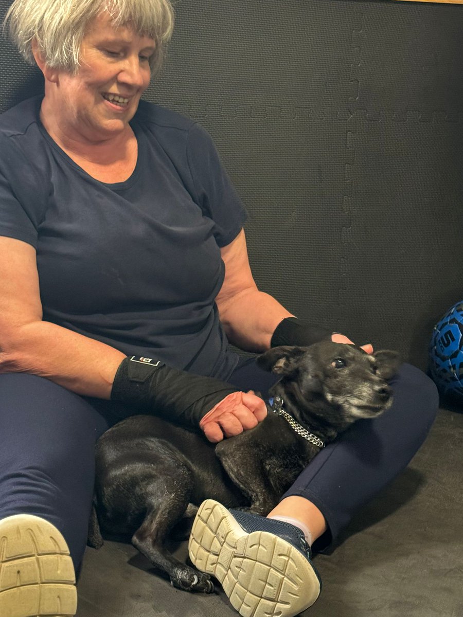 I love boxing but no way near Troy's level @TroyWilliamson_ My trainer's dog, Frankie, giving me some love and support. We are both seniors trying are best to keep fit 💪.  Just proves you can teach an old dog new tricks.