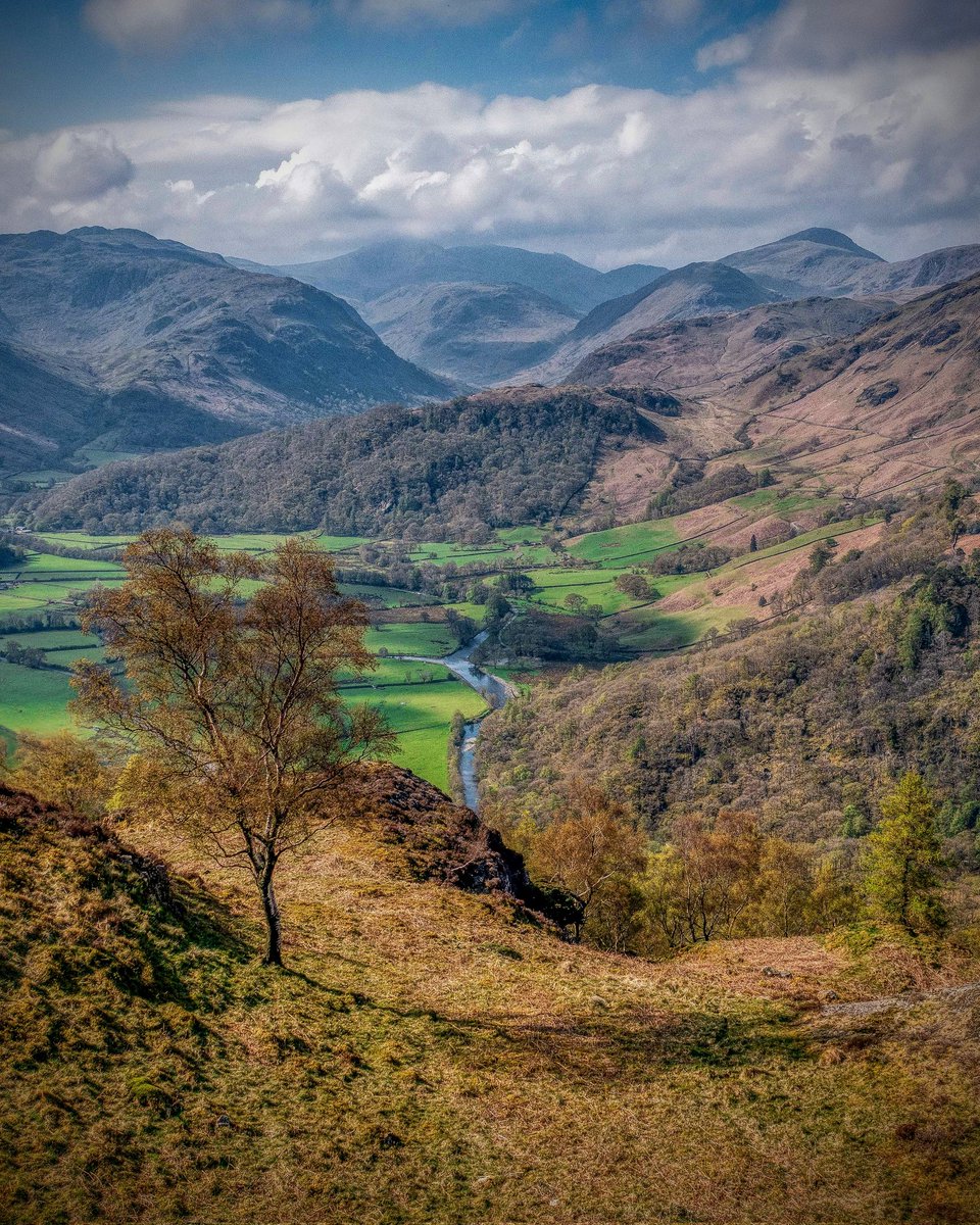 lakesrhino's tweet photo. Morning everyone hope you are well. Descending from King's How into the stunning Borrowdale Valley. On days like this I wouldn't want to be anywhere else. Have a great day. #lakedistrict @keswickbootco https://t.co/jYEUOXjace