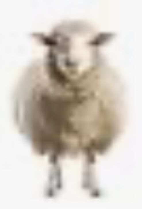 Day 157
Today's sheep of the day is low res sheep