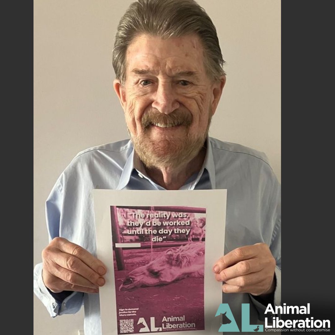 Thank you Derryn Hinch for your support and advocacy for the Uluru Camels. 🐪

If you haven't yet seen our exposé 'Breaking the camel's back' you can view the exposé and read more here- al.org.au/ulurucamels

Will you help us speak up for them and share their story?