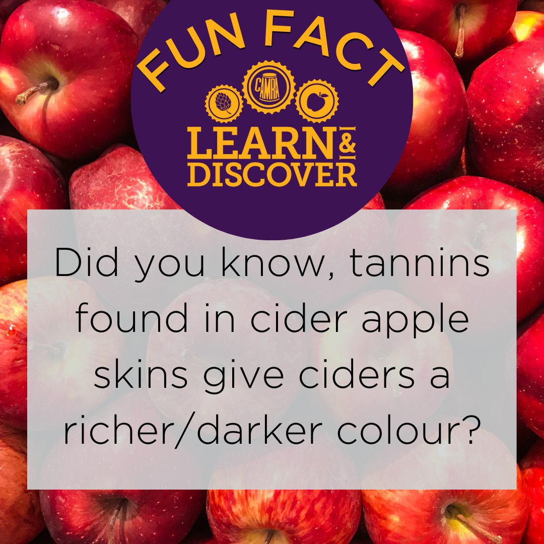 🤔 Did you know, tannins found in cider apple skins give ciders a richer, darker colour? 

🍎 Learn more about cider tasting with James Finch (@thecidercritic) by watching the video on our online #LearnandDiscover platform here: ow.ly/MO3t50RvCCv