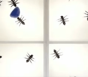 EngineeringAlls's tweet image. Features of A New Nano Robot Made For Drug Delivery Into Human Body engineeringall.com/nano-robot-mad… #aRobot #drugadministeringrobot #hospitalrobots