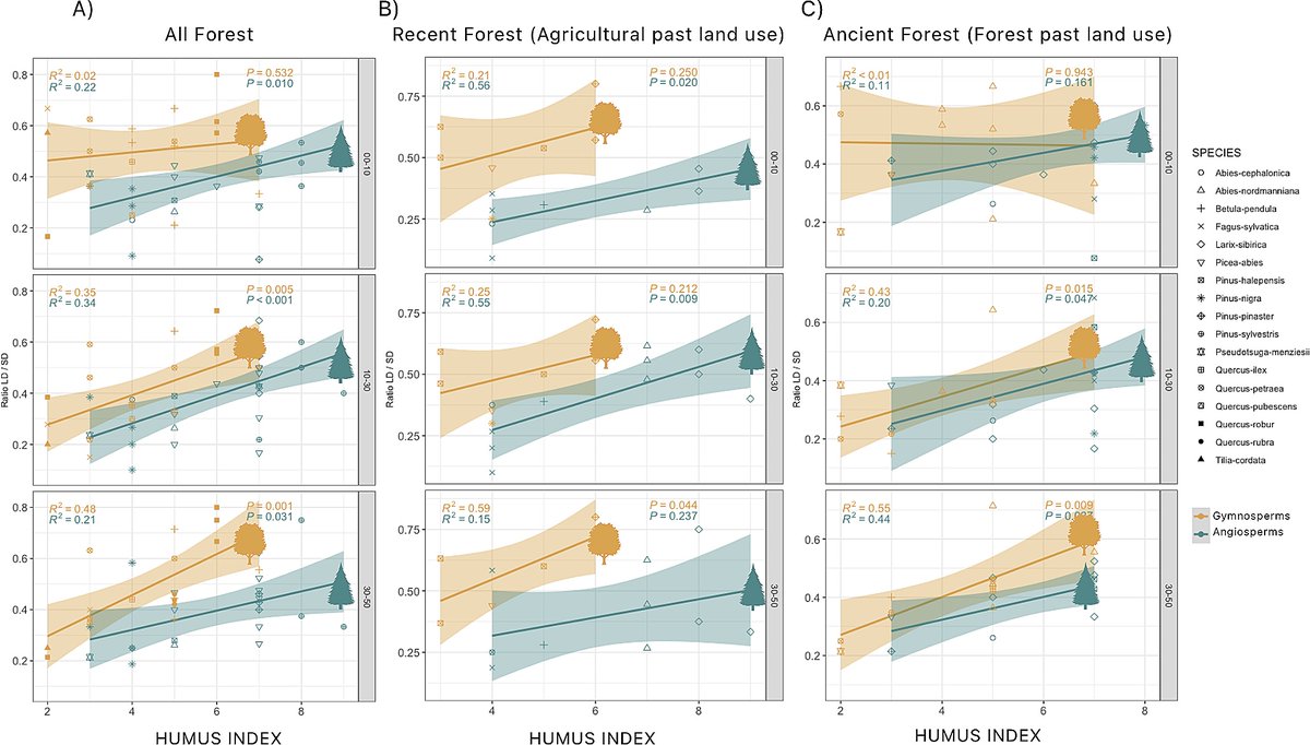 Marc BUEE (@mrmbuee) on Twitter photo Our collaborative project has just been published! 34 plots were sampled (in 9 common gardens across the EU) to demonstrate the relationship between humus index (type of humus) and exploration types (short or long distance ratio) of ectomycorrhizal fungi.
<a href="/khalfallafadwa/">Fadwa Khalfallah</a> et al. Our collaborative project has just been published! 34 plots were sampled (in 9 common gardens across the EU) to demonstrate the relationship between humus index (type of humus) and exploration types (short or long distance ratio) of ectomycorrhizal fungi.
<a href="/khalfallafadwa/">Fadwa Khalfallah</a> et al.