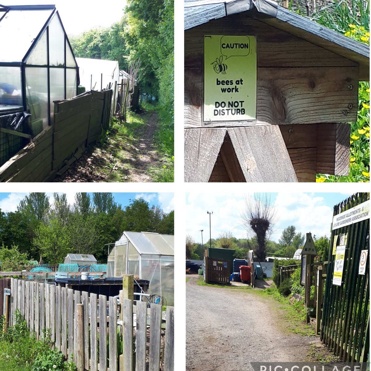 SNT Woodside and Madeley out on foot patrol at Woodside Allotments Lots of people making the most of the nice weather. Lots of people to talk to. #communityengagement.