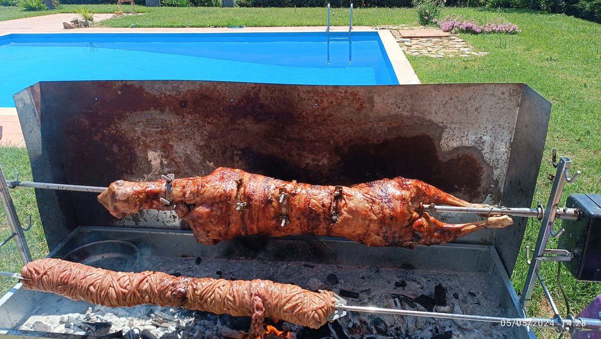 Αρνάκι ελληνικό και όχι από Μασούτη με διατροφή Μαράτα όπως τα γίδια της ΝΔ 🫣🫣