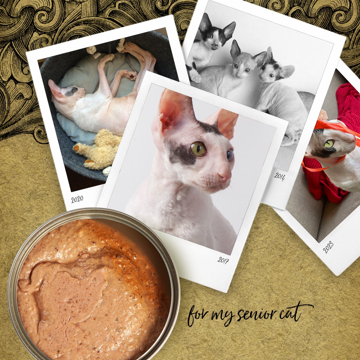 3cotyCom's tweet image. Because cats get older too! New line of our natural wet cat food is designed for senior cats, aimed at reducing the risk of constipation, a frequent problem with older cats. #meatonlycatfood #naturalcatfood
Read our latest newsletter and blog: blog.3coty.com/en/because-cat…