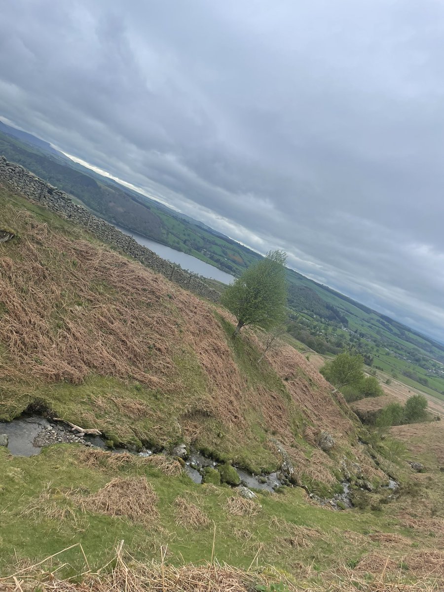 Dylan 🏴󠁧󠁢󠁷󠁬󠁳󠁿 tweet media