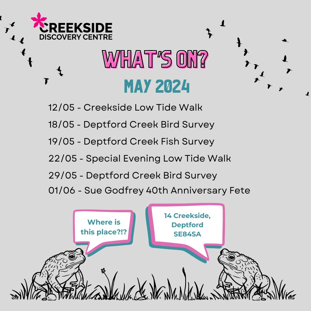 Don’t miss out on these exciting events! Mark your calendars and immerse yourself in the wonders of nature at Creekside Discovery Centre. 🌟🌎🦆 Tickets: creeksidecentre.org.uk/events/ #deptfordcreek #suegodfreynaturepark #lewisham #greenwich #whatson #wildlifeexplorer