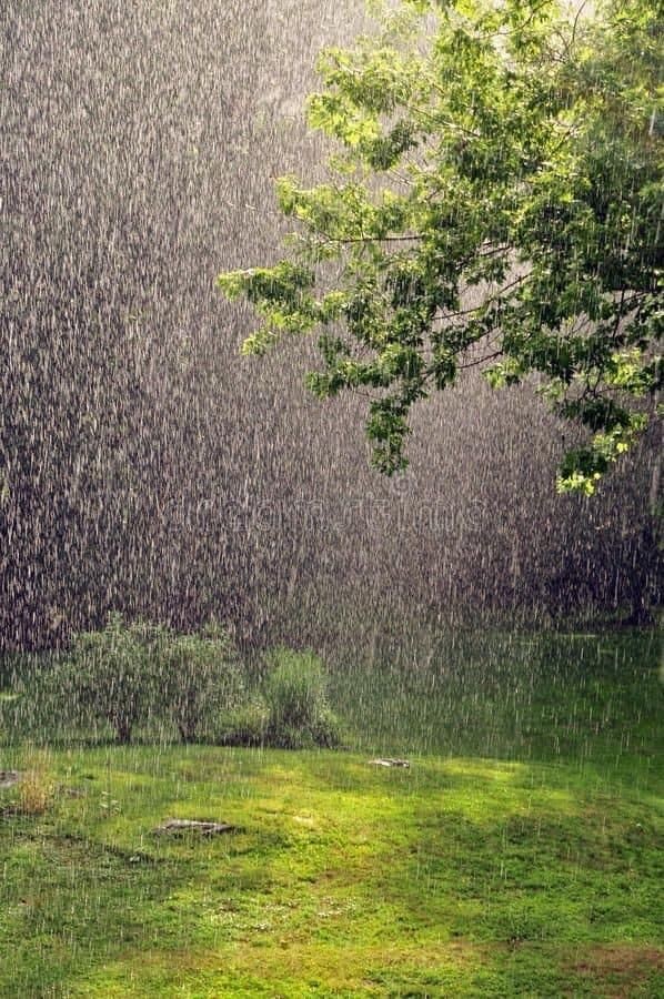 In the quiet of my backyard, I stand tall, arms outstretched to feel the raindrops fall, like a thousand soft kisses on my skin, a gentle embrace, where peace begins. Each drop a melody in the grand design, whispers of pure love that touch this heart of mine... It's raining 🙂