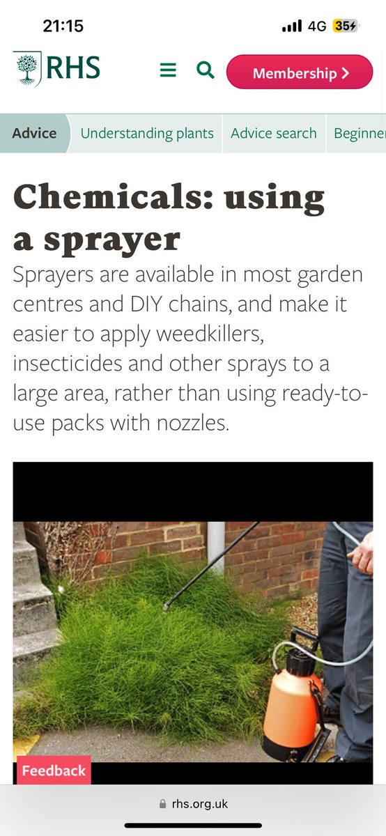 Joel Ashton 🍃🌳🍃 tweet media