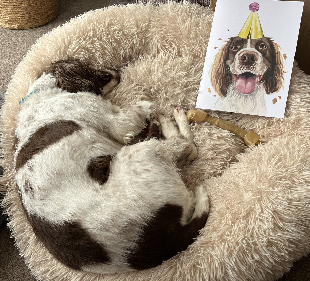 We did tire her out in the end. And thanks for the card @thortful