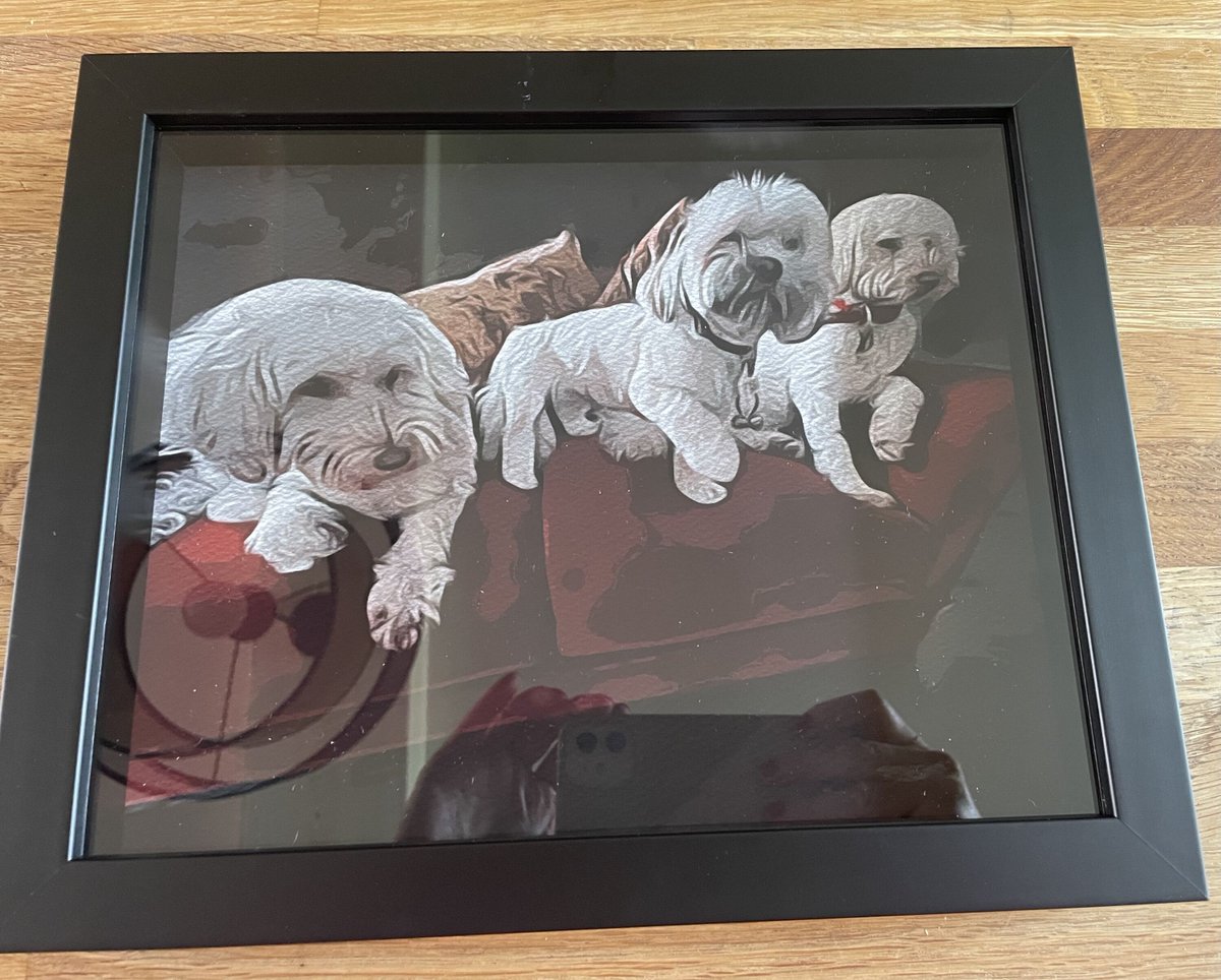 This is a painting I did of my 3 lovely doggies!  Chuckles, Fester & Lola.  #Anulade #lovemydogs #lhasapso #australianlabradoodles 🐾🐾🐾