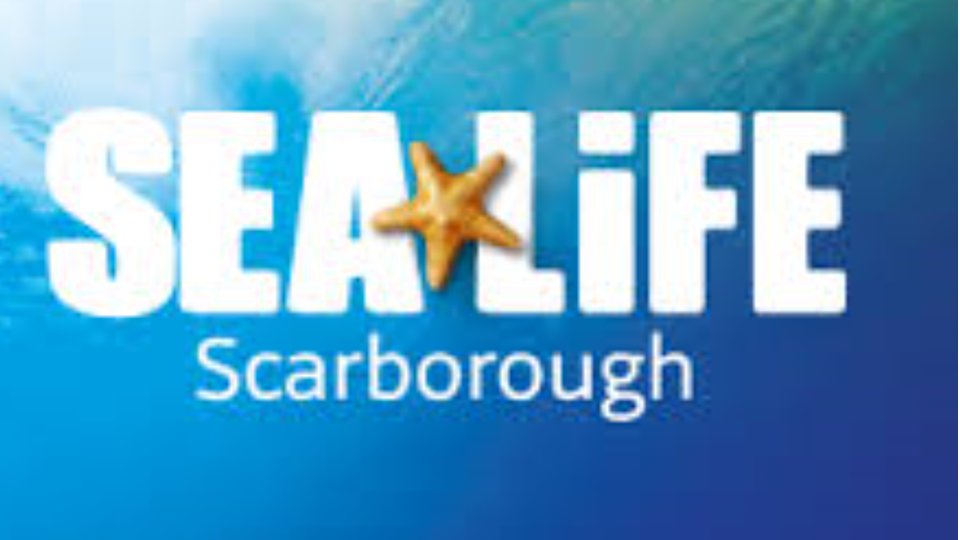 Operations Manager required by @SEALIFEScarboro in Scarborough

See: ow.ly/sH9550Ruqs5

#HospitalityJobs #WhitbyJobs #ScarboroughJobs