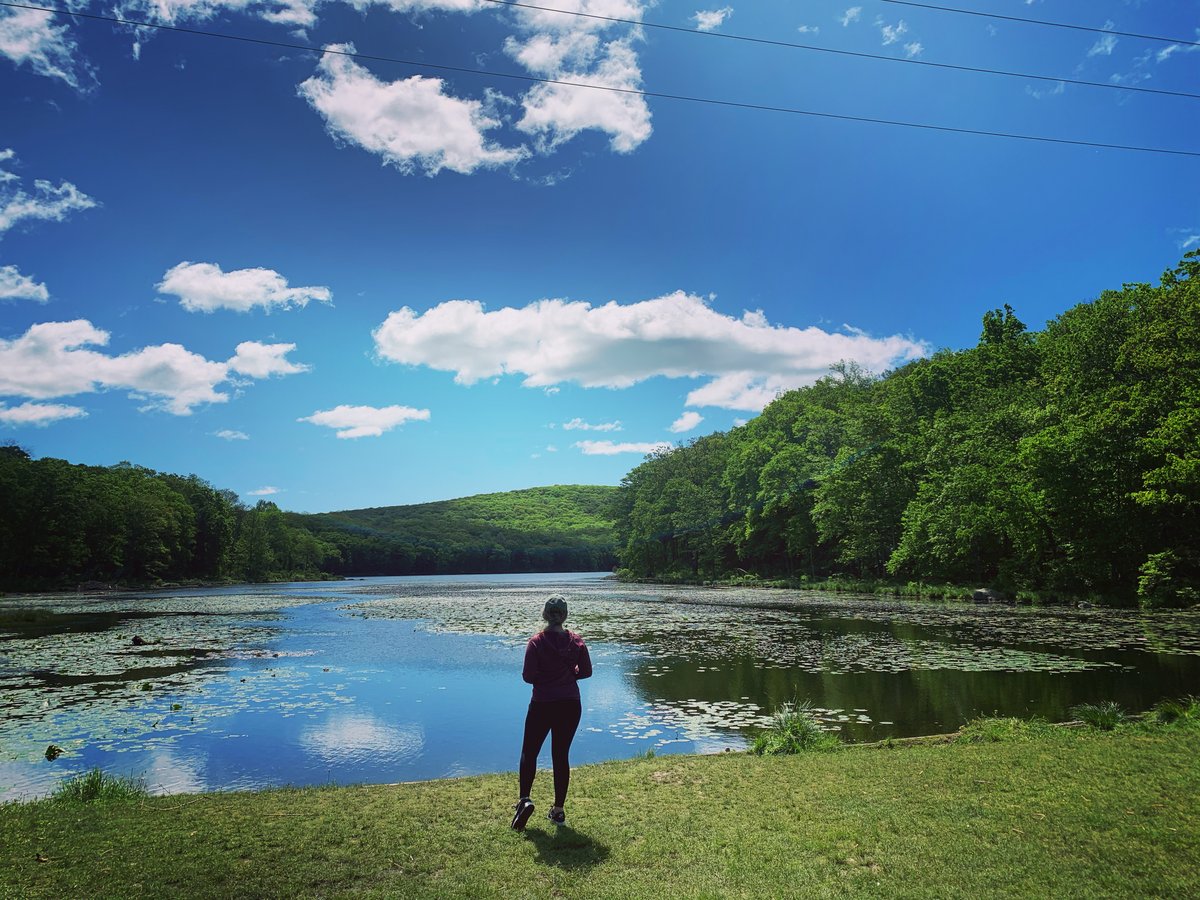 We're inspired by the thousands of I Love My Park Day volunteers and the projects they completed! Have you found inspiration at a park or site? Share your story with #NYStateParksStory, at stories@parks.ny.gov, or parks.ny.gov/100/story 📍 Harriman State Park 📷 Justine Giordano