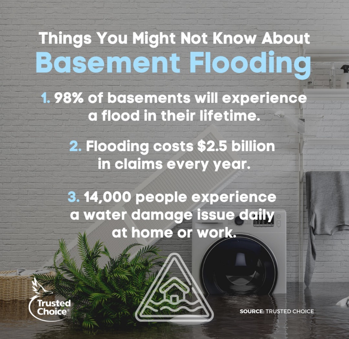 Reminder! Your basement is susceptible to flooding during heavy rains. #homesafety #floodinsurance #homeinsurance

Info@hamptonsriskmgmt.com