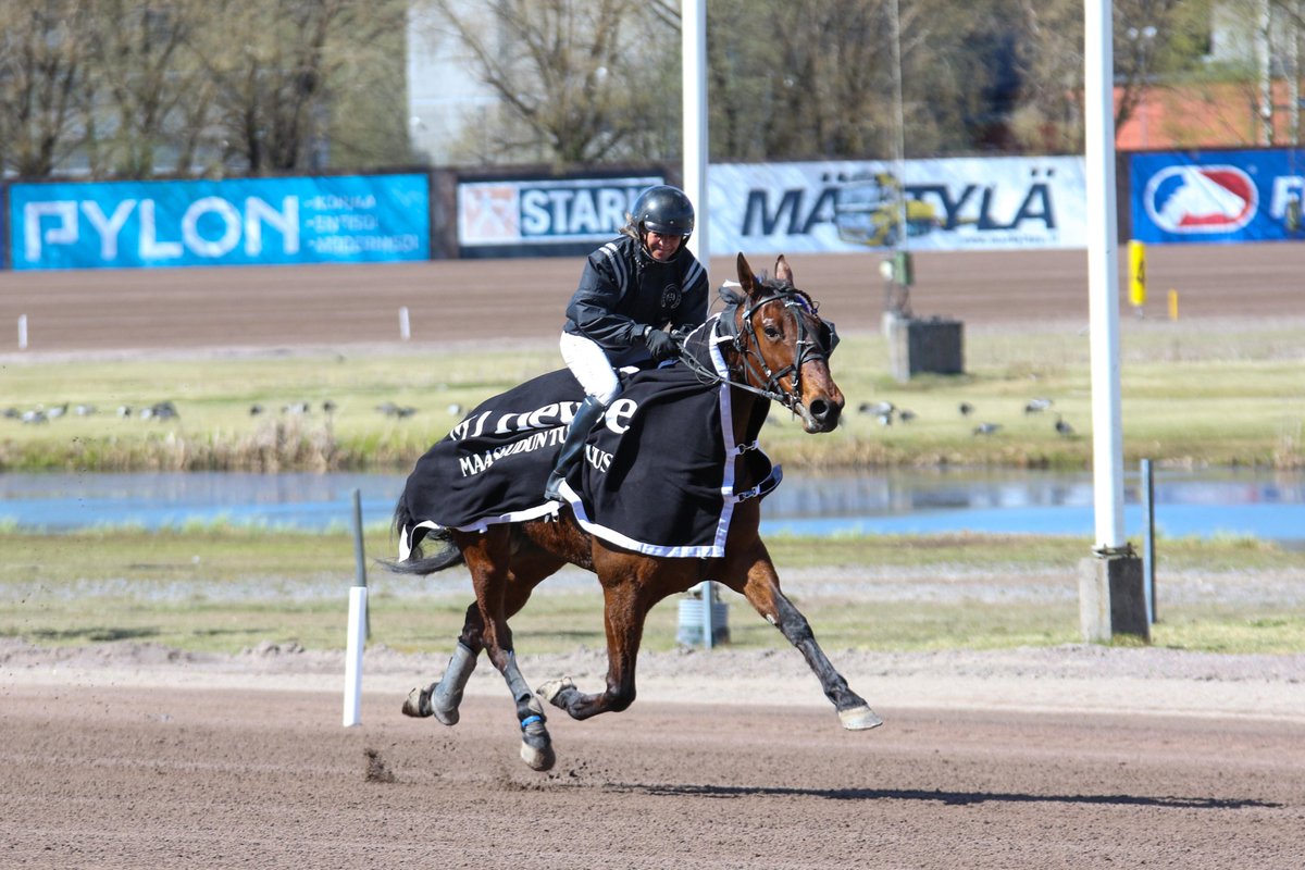 L1: MT Hevoset - Prix Monté Finlandian voitti Claude P.Hill, Heli Perkiö ratsasti Antti Ala-Rantalan valmennettavalla. Tiina Ala-Rantala hoitaa Talli Huipulla Tuuloo omistamaa ruunaa jonka kasvattaja on Possible Horse's AB. Oikein paljon onnea koko porukalle #ravit 📷@roopephoto