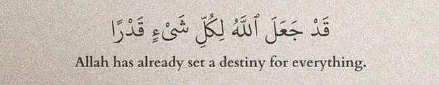 “Allah has already set a destiny for everything.” (Qur'an 65 : 3)