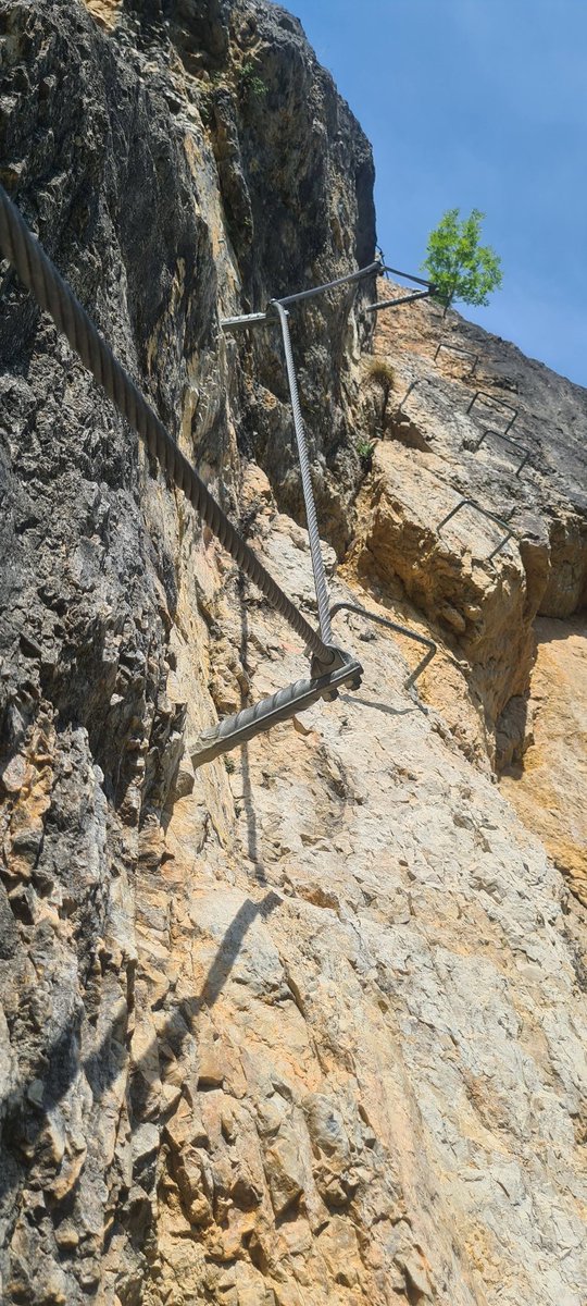 Judith Michael tweet media