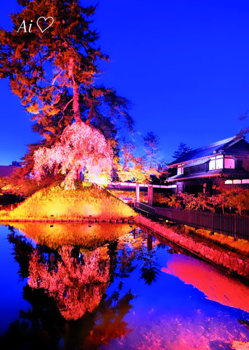 いつもありがとうございます🌹
今日は子供の日🏯今もちびっこ達が
元気に走り回っています🩷🩵ｶﾜﾕｲ
旅行中につき、返信が難しく
申し訳ありません🙇
素晴らしい夜をお過ごし下さい🥰
#子どもの日 #Japan #Travel  #夜桜 #フォロバ