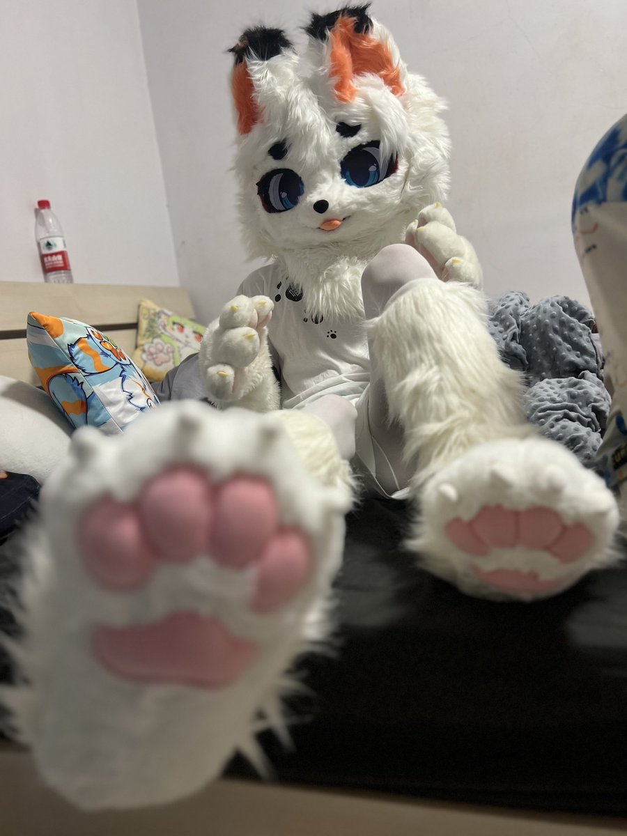 狐狸摆烂了 tweet media