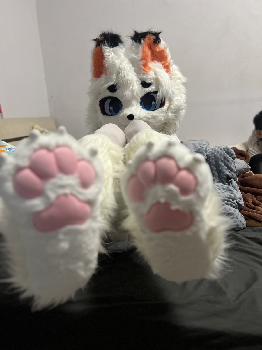 狐狸摆烂了 tweet media