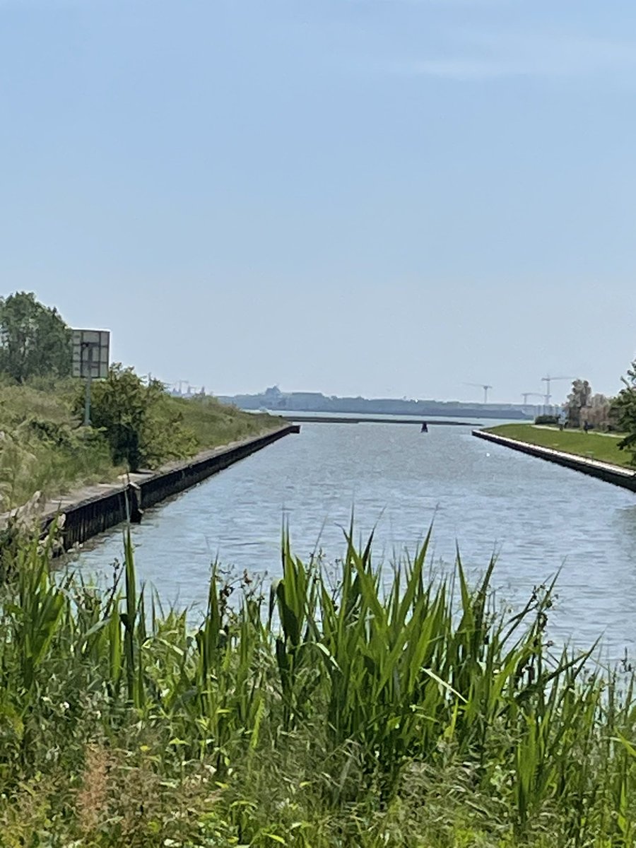 Parco San Giugliano con Venezia in lontananza