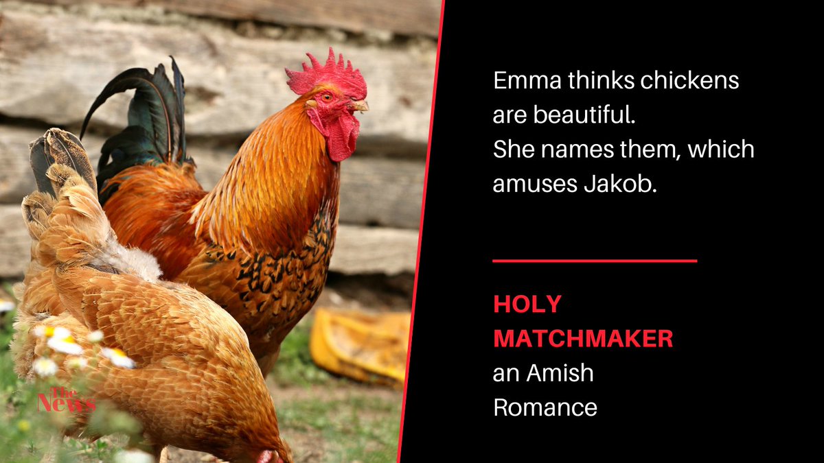 Holy Matchmaker is a #sweetromance #novel about the #Amish.  Get it at amzn.to/30OdogO
#amreadingromance #tweetyourbooks #BookBoost #readingforpleasure #romance #KindleUnlimited