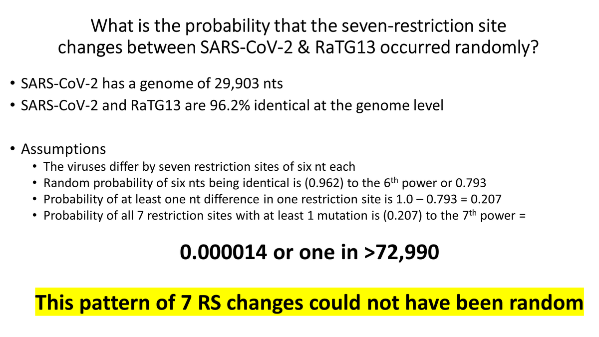 Here I compare SARS2 with RaTG13 and show that it is highly improbably that there is a random, restriction site extinguishing SNV in all seven RaTG13 restriction sites, given the genomes are 96% identical overall. ALL of them, by the way, obey the 'No See 'Em' rule of being a…