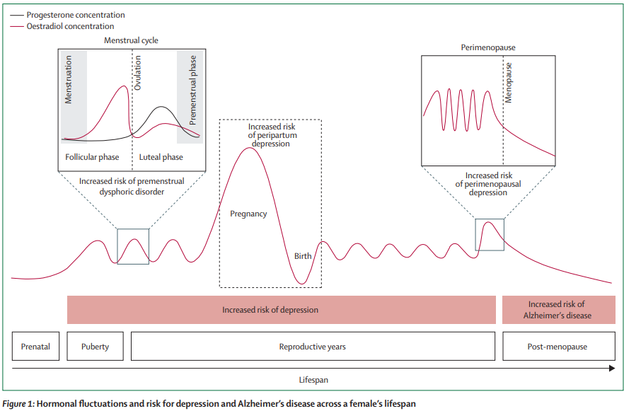 Sex #steroids and the #female #brain across the lifespan: insights into risk of #depression and #Alzheimer's disease thelancet.com/journals/landi… 
#oestradiol #WomensHealth