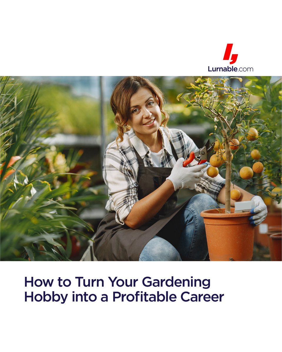 Turn Your Gardening Hobby into a Profitable Career: tr.ee/Gardening-Care… #gardeningcareer #alternativegardening #cannabiscultivation #professionalbotanist #gardeningbusiness #gardeningwebsite #gardeningblog