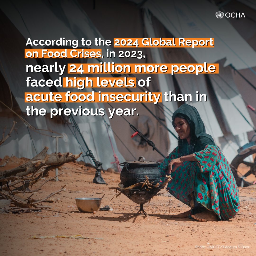 ⚠️ Disturbing fact from the 2024 Global Report on Food Crises: 281.6 million people faced high levels of acute hunger last year. This marks the fifth consecutive year of rising numbers. See what is driving the food crisis: bit.ly/3xIvPa3 #GRFC24