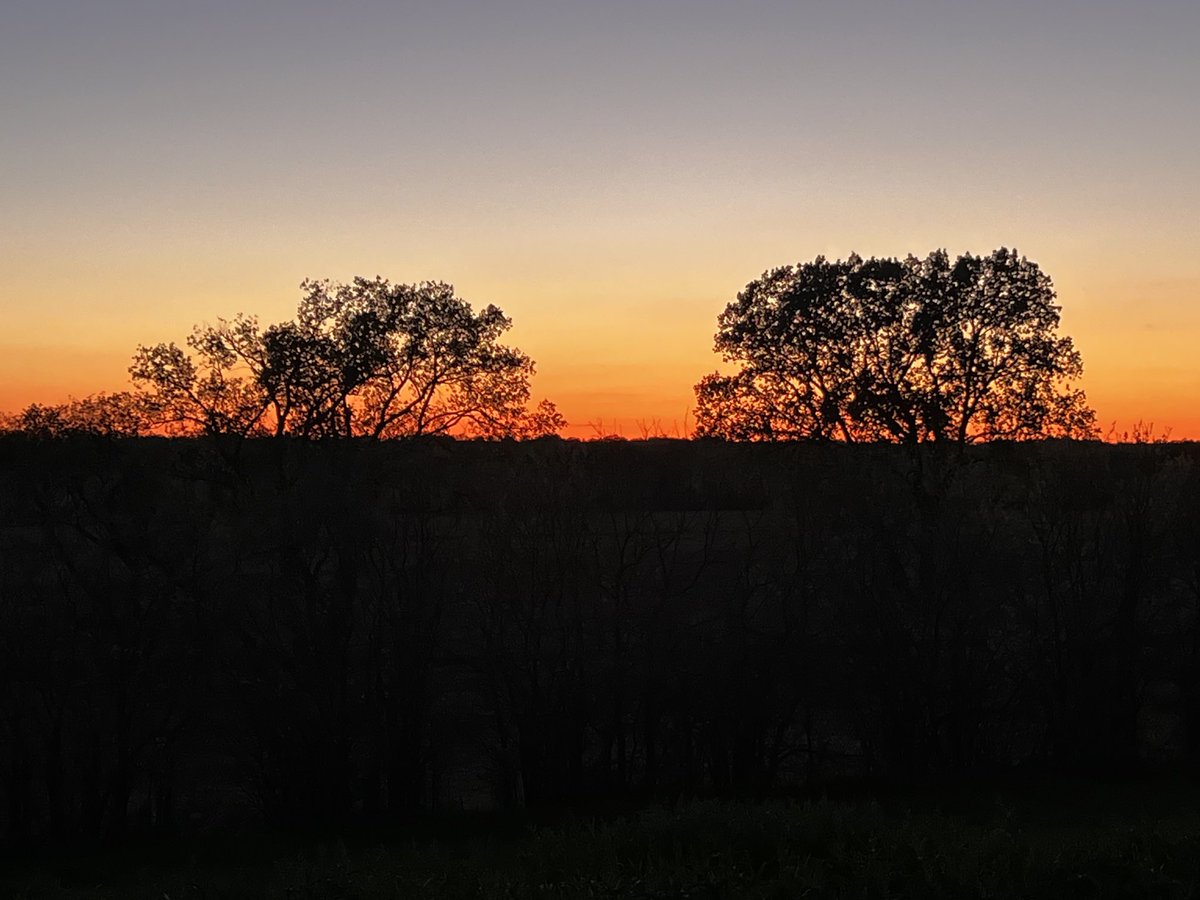 Kelly Caverzagie tweet media