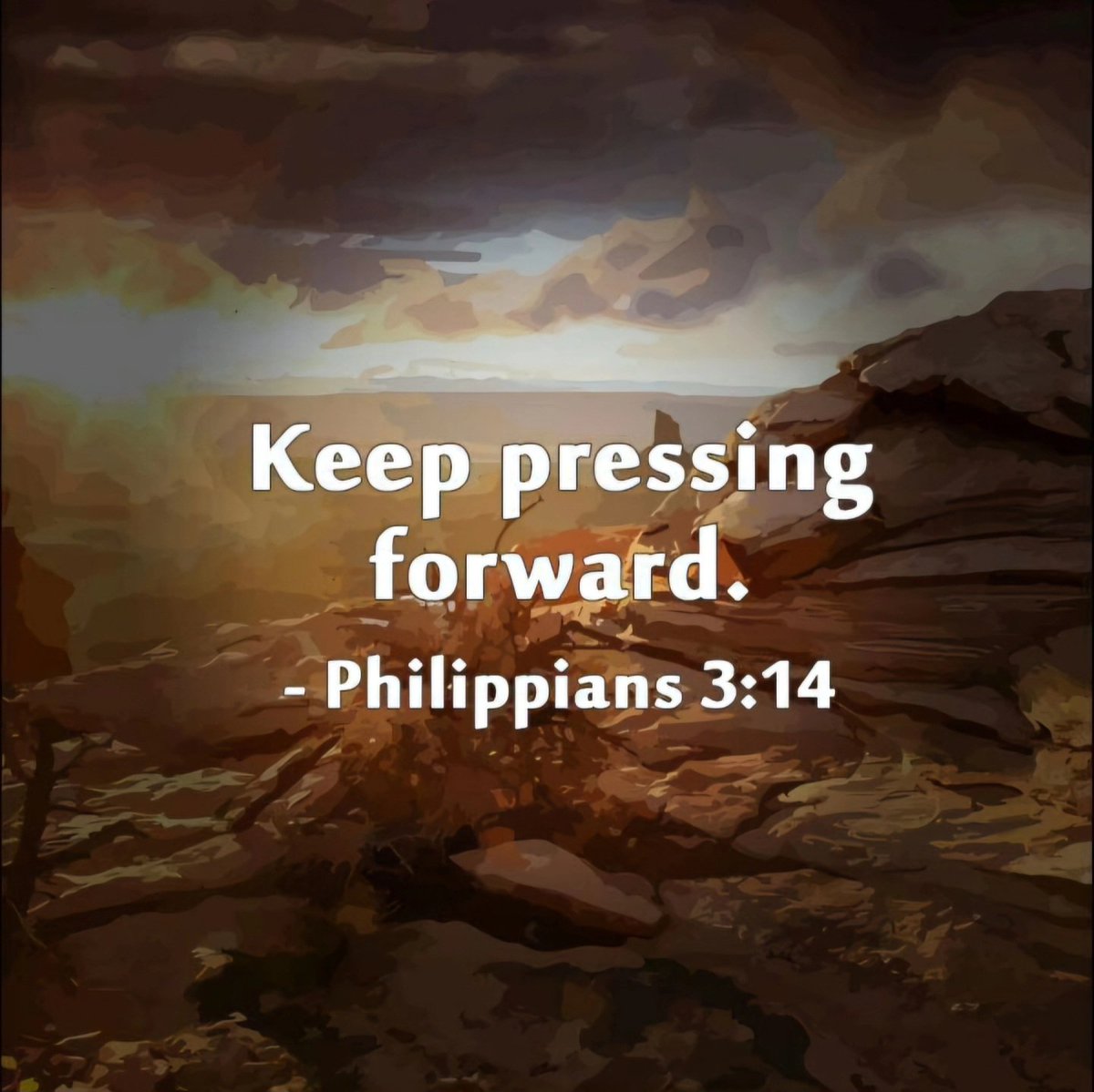 Good morning! Give thanks with a grateful heart. No looking back, keep pressing forward. Press on. #gratitude #givethanks #pressforward #helpinthehouse #Solutionist #iamaningredient #JusticeGeneral