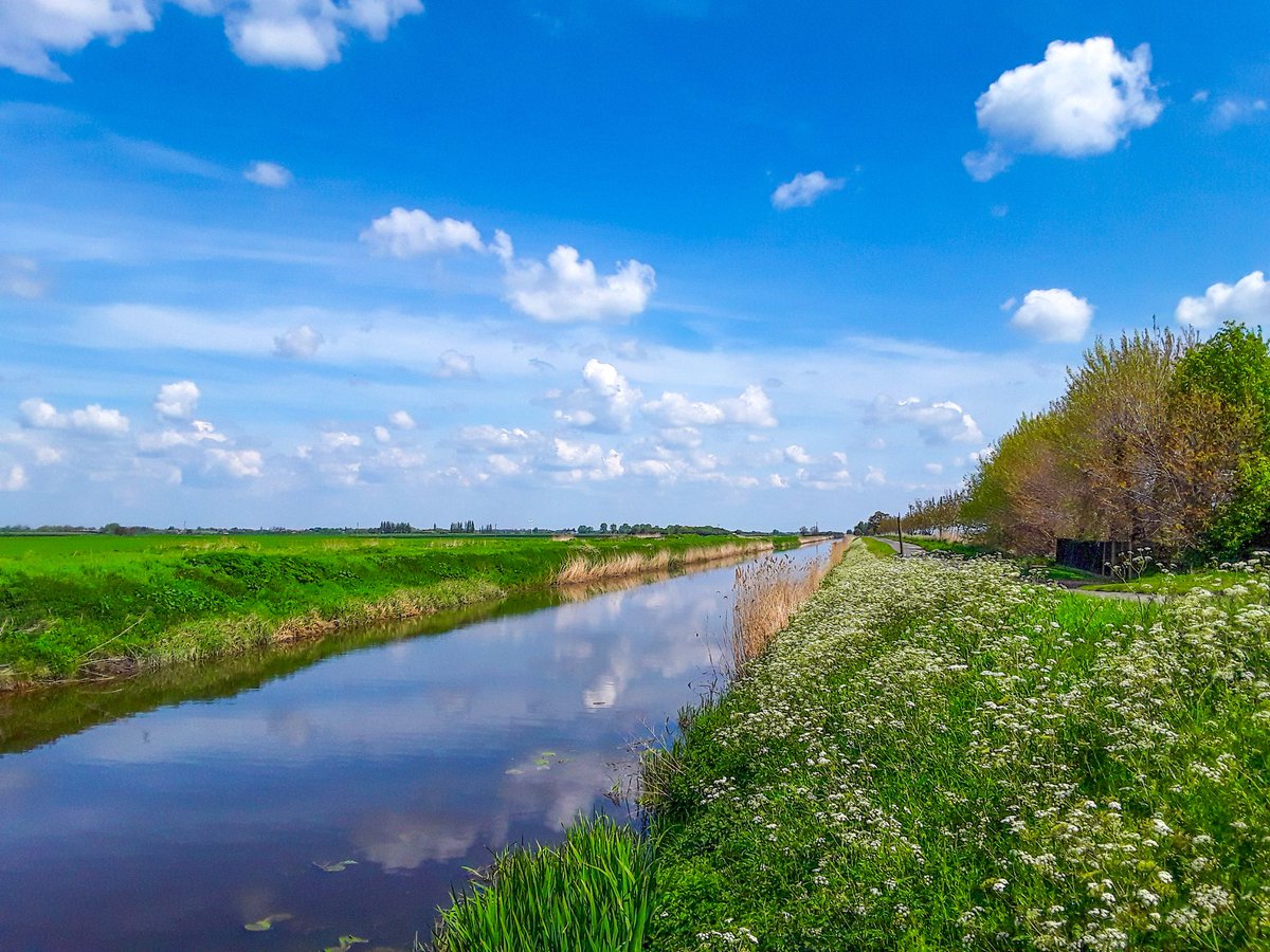 A trip to the garden centre in Whittlesey so had to stop by the river to take the cow parsley and cloud reflections. Such a gorgeous spring day here in Cambridgeshire @WeatherAisling @ChrisPage90 @itvanglia @metoffice #LoveUKWeather