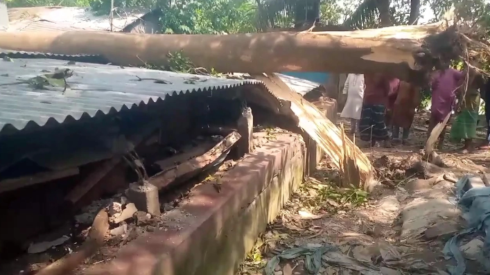 গাছ উপড়ে পড়ে ঘরের উপর চাপা পড়ে মা ও ছেলের মৃত্যু।