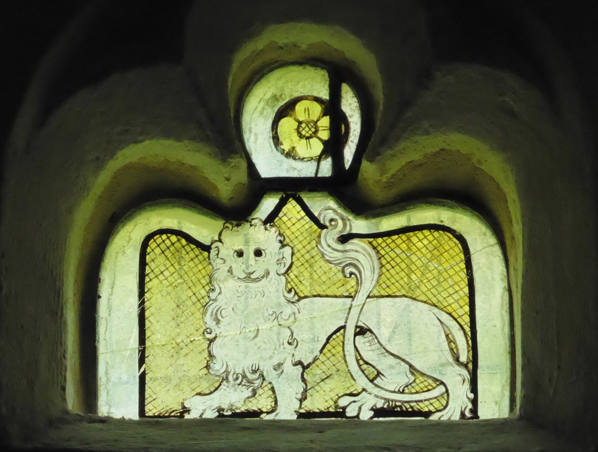 And this is as sweet-natured a #TinyLion as one could wish for!  Superb tail flourishing.  @chartres_Fiona