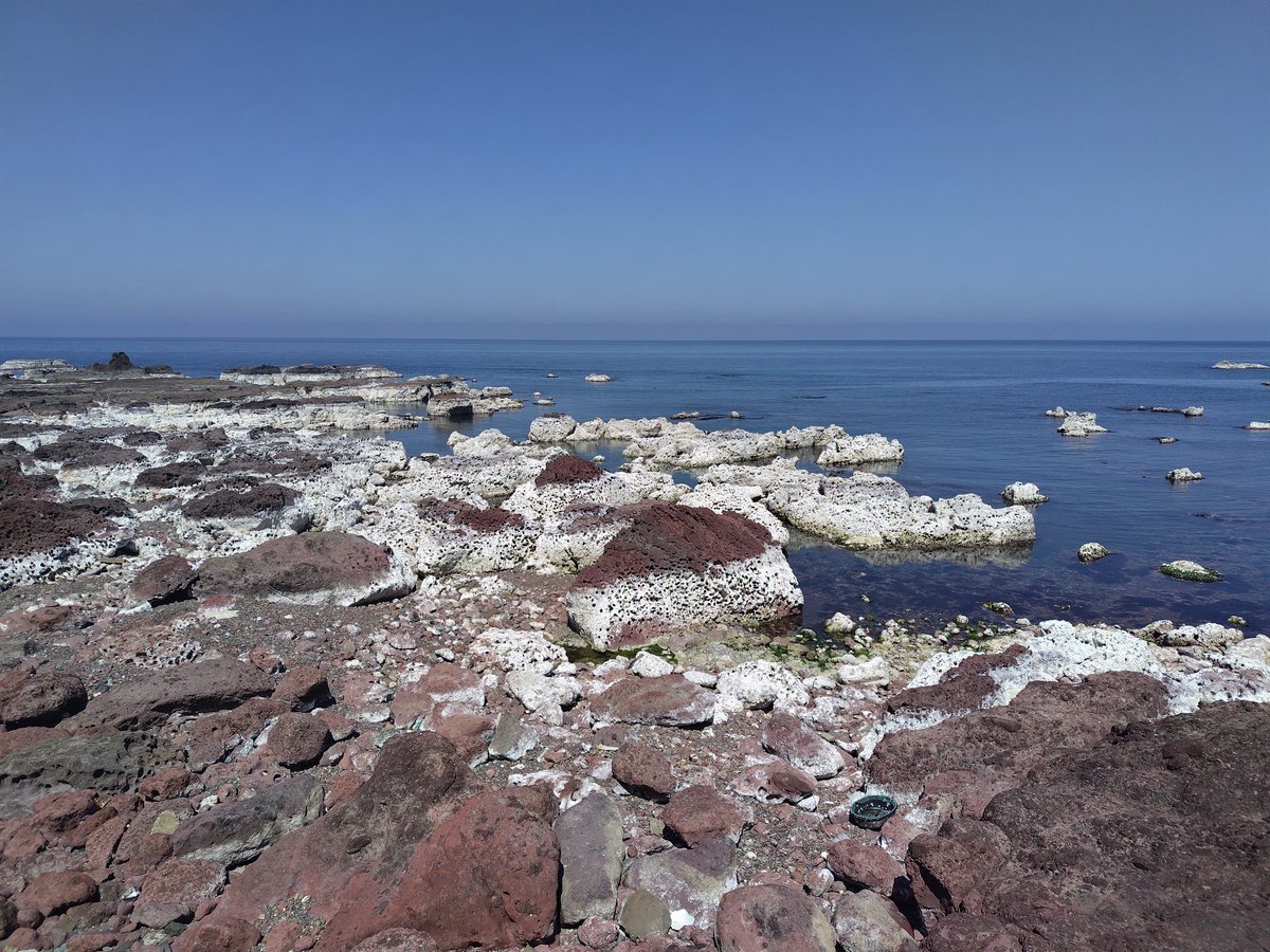 門前町／赤神海岸 特徴的な赤い色の岩盤が露出する海岸。トンネル周辺のコンクリート吹付も赤く着色して景観に配慮しています しかし地震で隆起した海岸は 赤白の不思議な景色に変わりました 将来、白い析出が波で洗い流されたらまた景色が変わるのでしょうね #輪島市門前町 #がんばろう能登