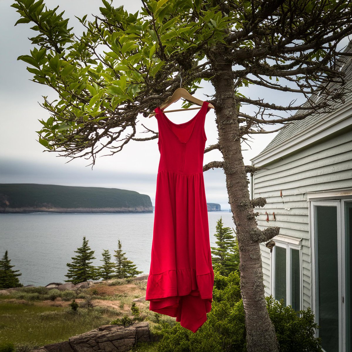 We stand in solidarity on Red Dress Day to honour the Missing and Murdered Indigenous Women & Girls in Newfoundland & Labrador and across Canada. Together, let's work towards ending violence and ensuring the safety and well-being of Indigenous communities. #RedDressDay #MMIWG