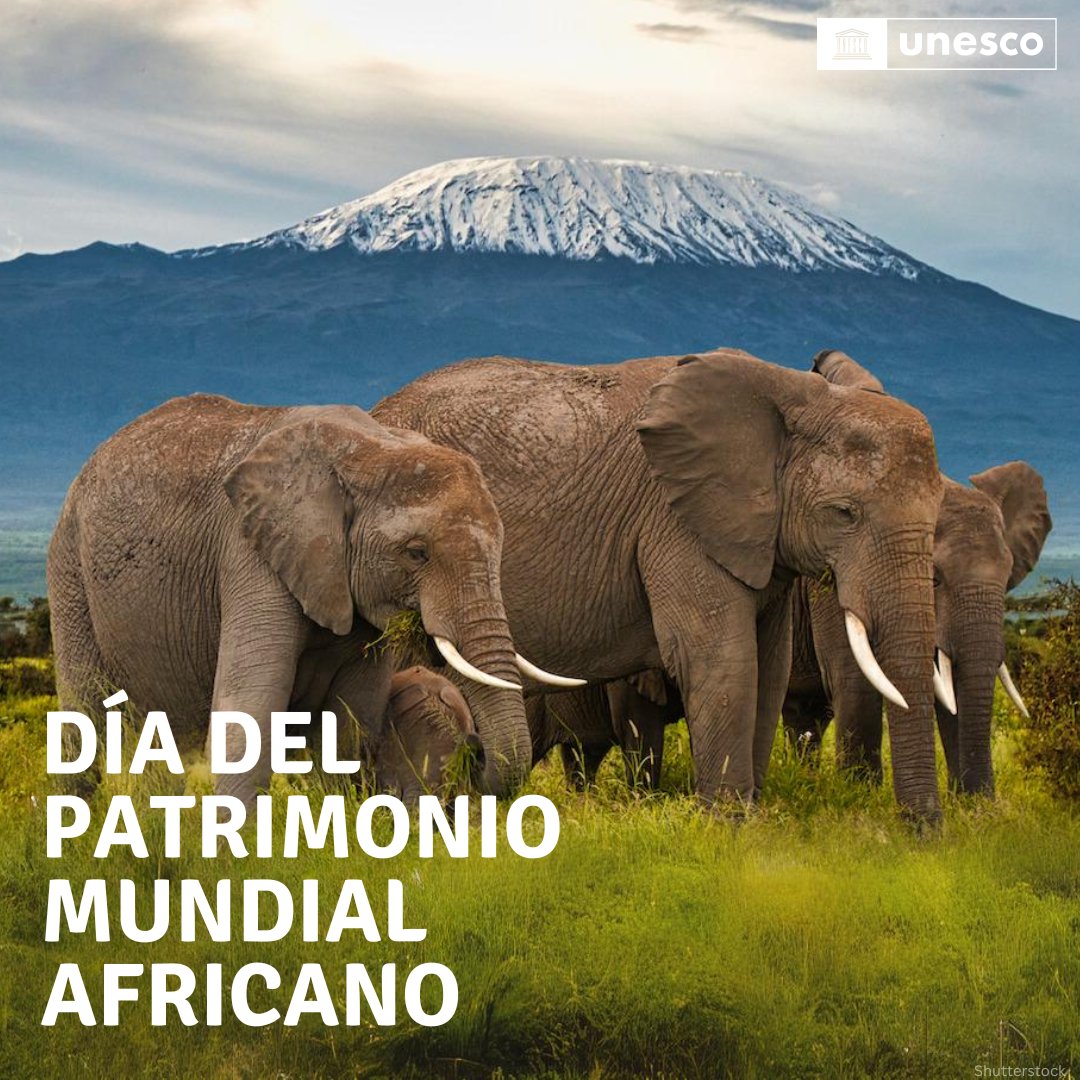 ¡Hoy es el Día del Patrimonio Mundial Africano! Descubre la labor de la @‌UNESCO_es para preservar el irreemplazable patrimonio en #África. whc.unesco.org/en/news/2685/