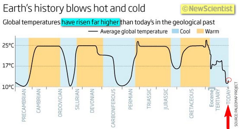 Any long term temperature chart of planet earth indicates that temperatures have naturally risen much higher than they are today long before any man made CO2 could have been a factor, revealing the man made CO2 being a possible cause of global warming to be not evidence backed.