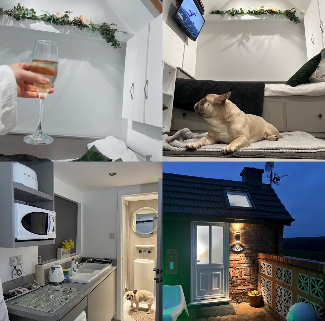 Guest sent pictures cosy night @littlehouse with pooch 🐾🏡 ❤️ #LincolnHoliday #lincolnshire #lincolncityholiday #LincsConnect #greatplacetostayinlincoln #pullupandstay