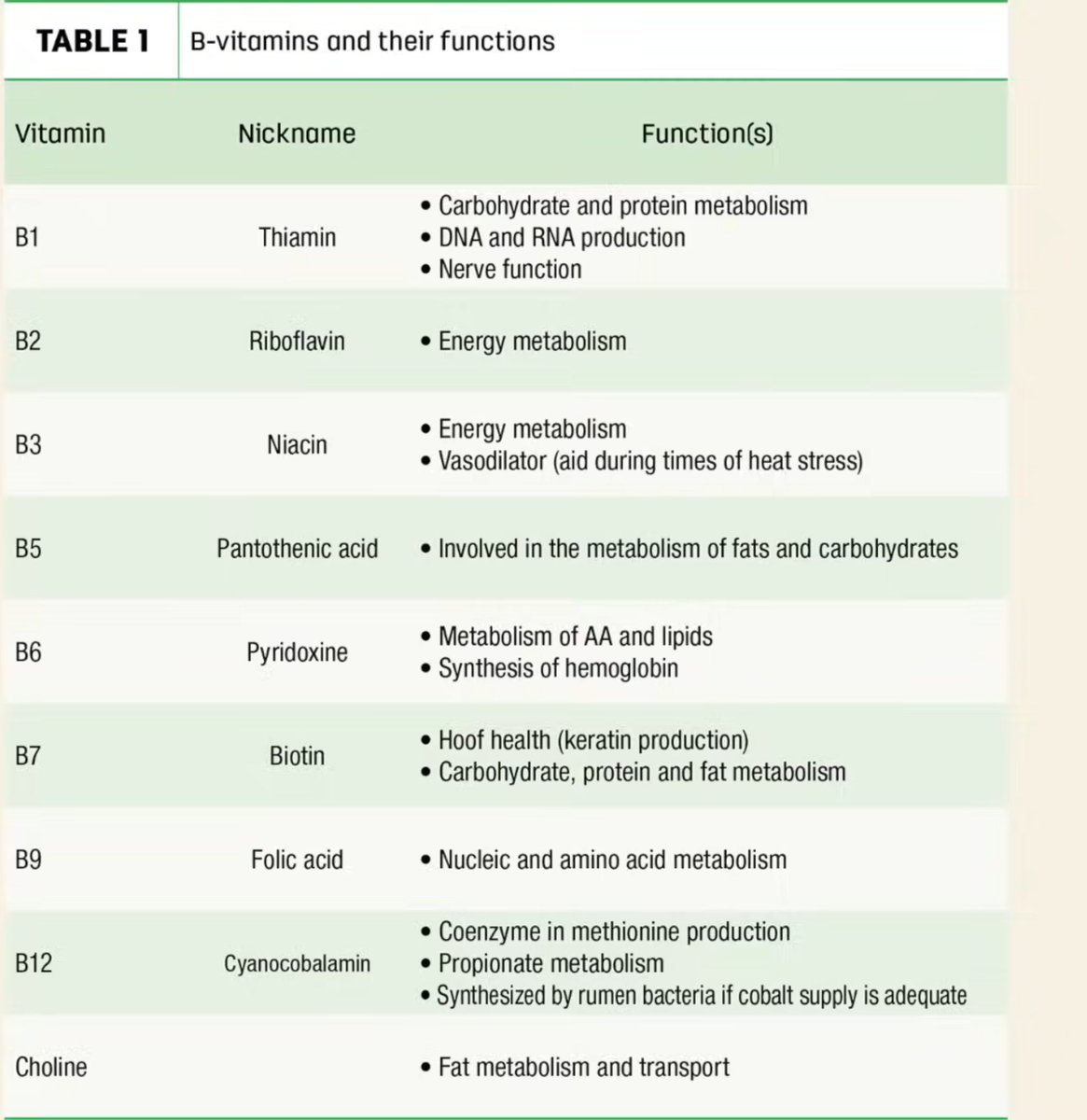 Compact overview on b vitamins and functions