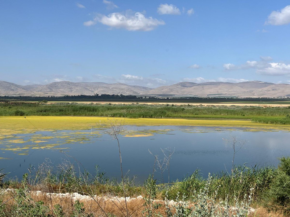 The Jordan Valley yesterday