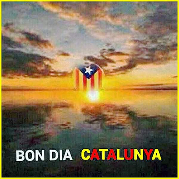 Bon dia companys i companyes de la lluita!!
Bon dia catalans i catalanes que estimeu el vostre petit país.
Visca Catalunya lliure i sobirana i sempre més Puta Espanya #Dui #lliridemerda #1Oct #lopoble #putaEspanya #republicacatalana #nioblitniperdó #niunpasenrera