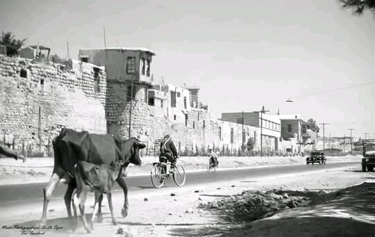 شارع ابن عساكر..
 والسور بين باب شرقي و باب كيسان
صورة تعود لعام 1950

#دمشق_عشقي 
#دمشق_عبق_التاريخ